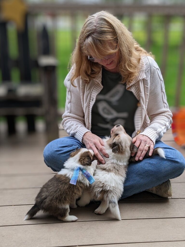 A woman sits on a wooden deck, smiling at two small puppies playing on her lap and at her feet.