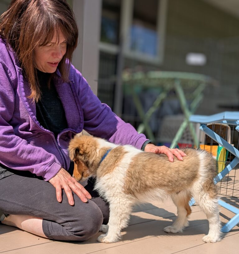 A woman in a purple jacket kneels on a porch, petting a small light brown and white puppy.