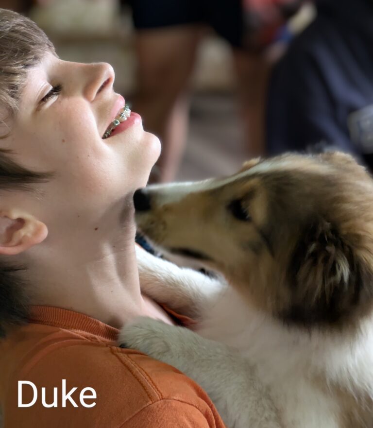 Duke is a well loved and social puppy. He is looking for a home with lots of love to share.