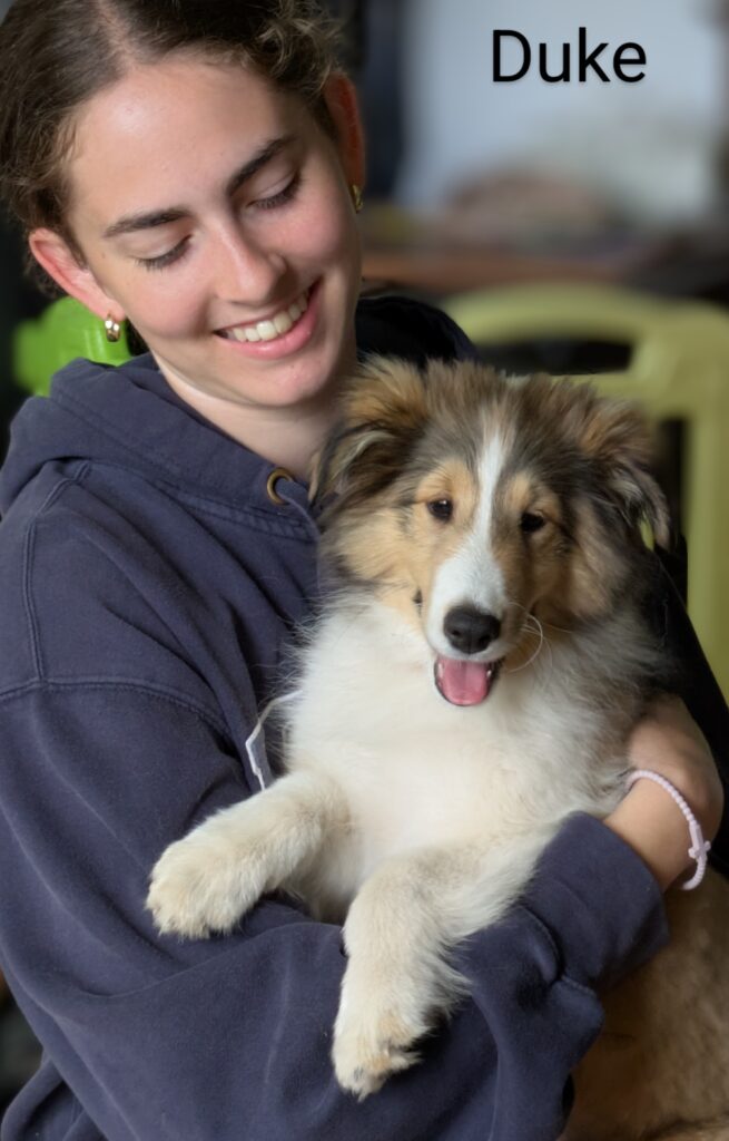 A woman in a dark hoodie holds a fluffy, smiling puppy labeled "Duke.