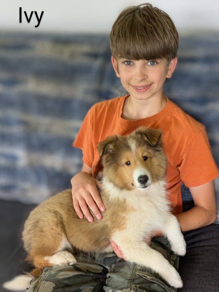 A boy in an orange shirt sits on a couch holding a fluffy brown and white puppy labeled "Ivy.