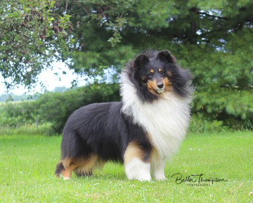 Photo of Connor