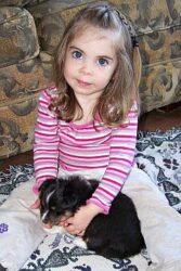 Luna and Kenny Puppies
DOB 4/16/13 Photo of children holding puppies