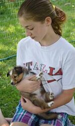 Photo of girl holding puppy